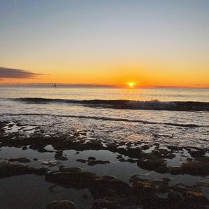 Meet your Posher, Norah